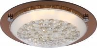 Светильник настенно-потолочный Globo 48263, хром, LED, 1x12W